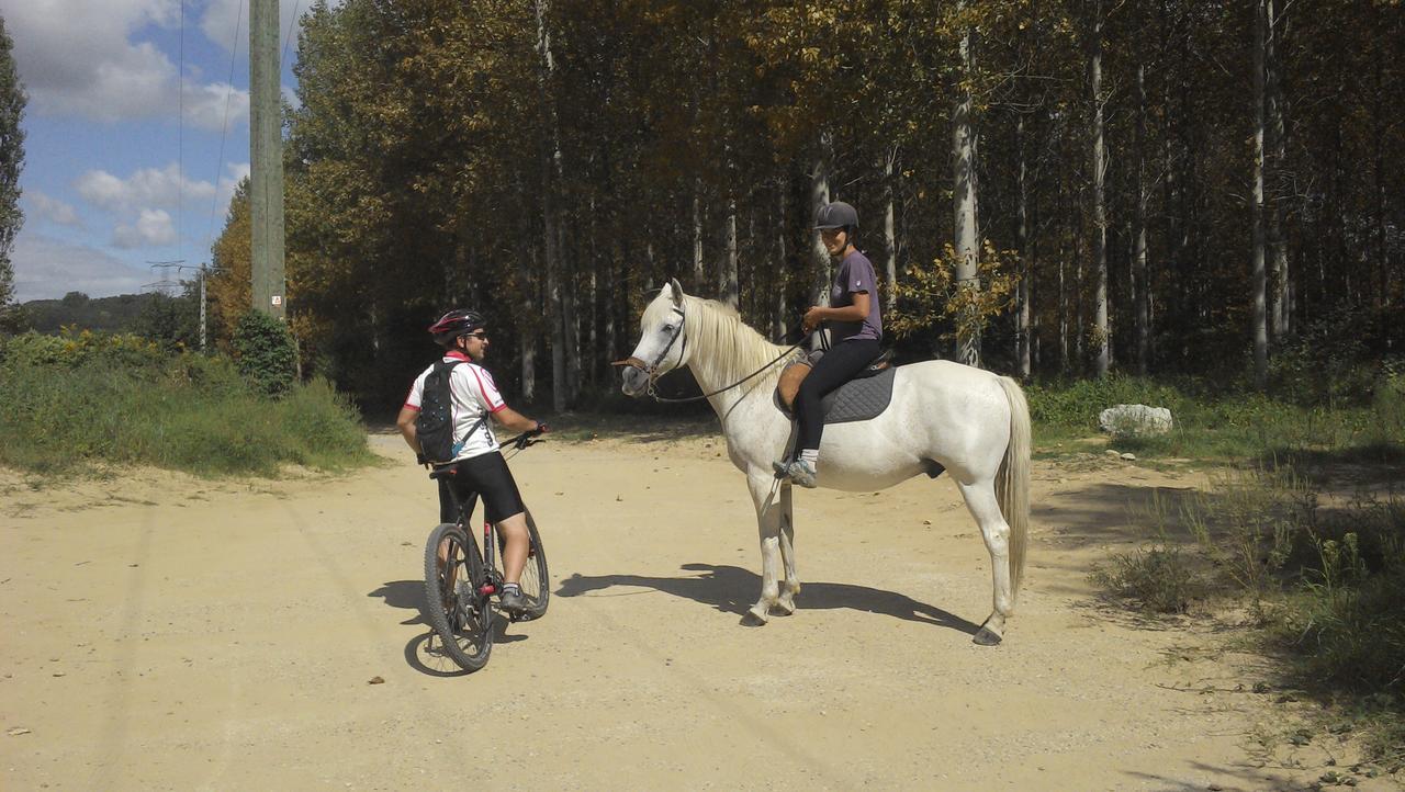 La Meridienne Des Collines La Motte-de-Galaure Екстер'єр фото